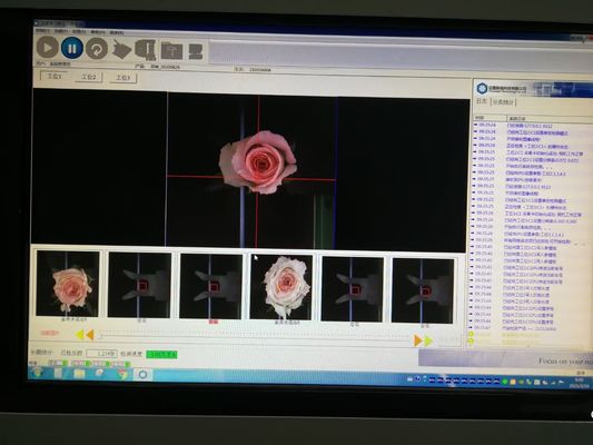 CE Focusight Sprzęt do sortowania kwiatów 8000 gałęzi na godzinę